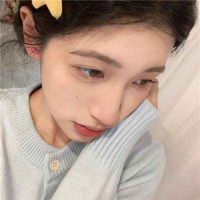 北极大冒险